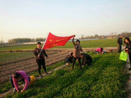 金水區(qū)經(jīng)八路工商聯(lián)組織商戶參觀中牟綠色無公害蔬菜基地(圖1)