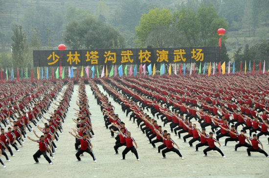 鄭州溫州商會(huì)組團(tuán)參加第11屆國(guó)際少林武術(shù)節(jié)活動(dòng)(圖2)